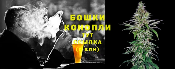твердый Абаза