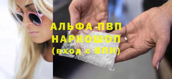 индика Михайловск