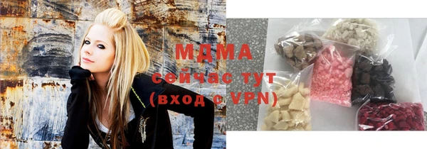 индика Михайловск