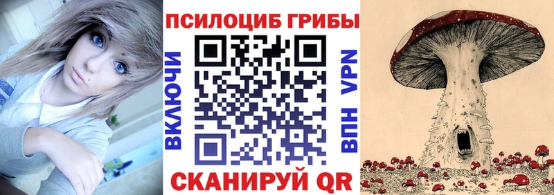 Галлюциногенные грибы Cubensis Шахунья